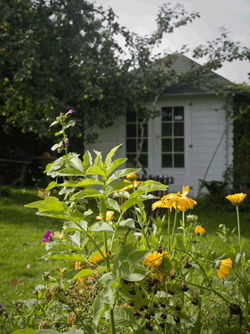 tuinhuis